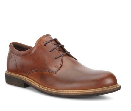 Ecco Plain Toe Derby Shoe